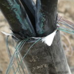 Otätad 12kV-kabel som legat i marken vid Zakrisdal några år. Karlstads El- och Stadsnät AB 2020